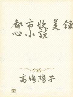 都市收美录宁素心小说封面