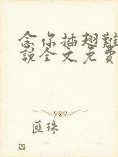 念你插翅难飞小说全文免费阅读