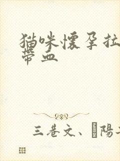 猫咪怀孕拉粑粑带血