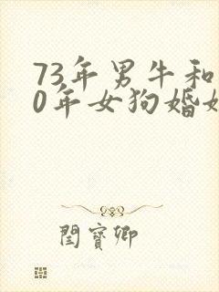 73年男牛和70年女狗婚姻