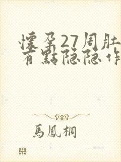 怀孕27周肚子有点隐隐作痛封面