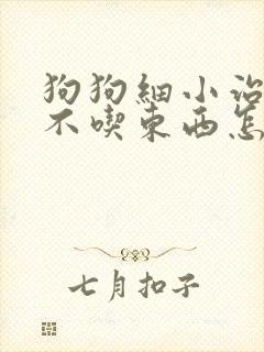 狗狗细小治好了不吃东西怎么办