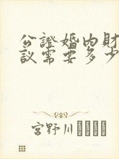 公证婚内财产协议需要多少钱