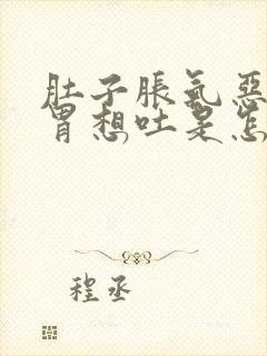 肚子胀气恶心反胃想吐是怎么办封面