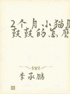 2个月小猫肚子鼓鼓的怎么回事封面