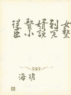 从赘婿到女帝宠臣小说完整版封面