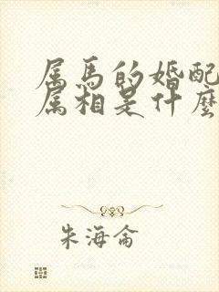 属马的婚配最佳属相是什么封面