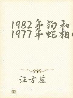 1982年狗和1977年蛇相配吗