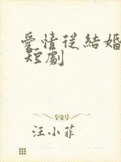 爱情从结婚开始 短剧封面