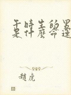 午时生的男孩子是什么命运封面