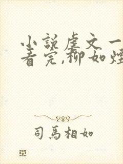 小说虐文一口气看完,柳如烟封面