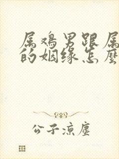 属鸡男跟属鼠女的姻缘怎么样