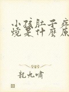 小孩肚子疼又发烧是什么原因引起的