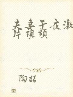 夫妻午夜激情看片视频