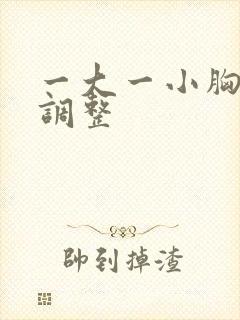 一大一小胸怎么调整