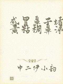 感冒鼻子堵塞有黄粘稠鼻涕