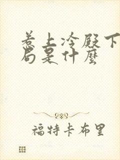 惹上冷殿下大结局是什么