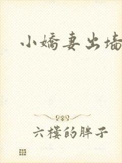 小娇妻出墙记