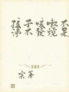 孩子咳嗽不流鼻涕不发烧是怎么回事封面