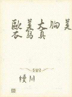 欧美大胸美女内衣写真封面