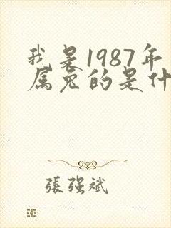 我是1987年属兔的是什么命封面