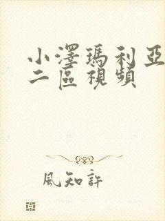 小泽玛利亚一区二区视频