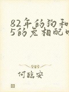 82年的狗和75的兔相配吗封面