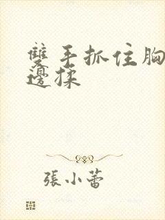 双手抓住胸边吃边揉