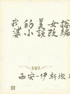 我的美女总裁老婆小说改编