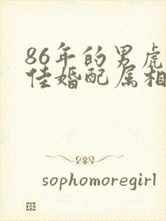 86年的男虎最佳婚配属相封面
