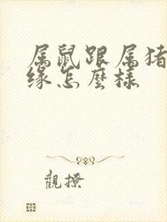 属鼠跟属猪的姻缘怎么样