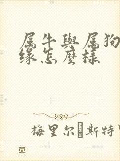 属牛与属狗的姻缘怎么样