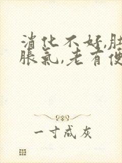 消化不好,肚子胀气,老有便意便不出封面