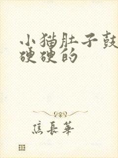 小猫肚子鼓鼓的硬硬的封面