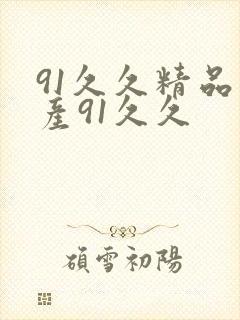 91久久精品国产91久久