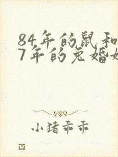 84年的鼠和87年的兔婚姻怎么样