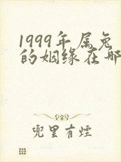 1999年属兔的姻缘在哪年结婚封面