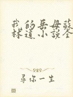 我的岳母苏沛真林道小说全文