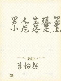 男人生殖器处长小疙瘩是怎么回事