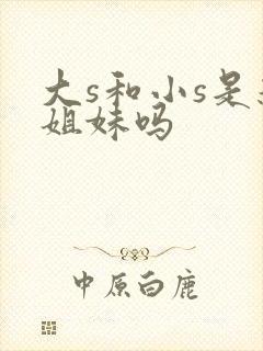 大s和小s是亲姐妹吗封面