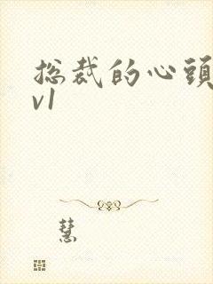 总裁的心头宝1v1