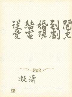 从结婚到开始恋爱电视剧免费