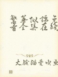 繁华似锦免费观看全集在线观看