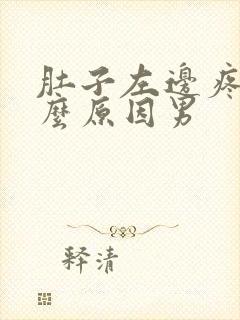 肚子左边疼是什么原因男