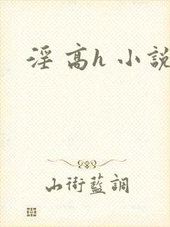 淫 高h 小说