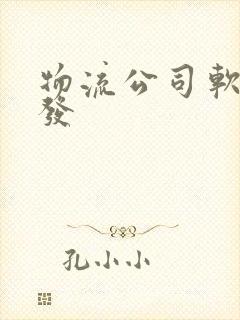 物流公司软件开发