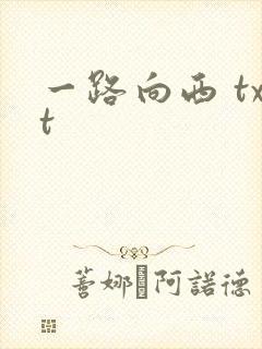 一路向西 txt封面
