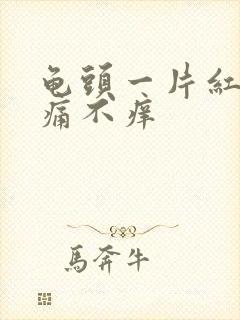 龟头一片红斑不痛不痒封面