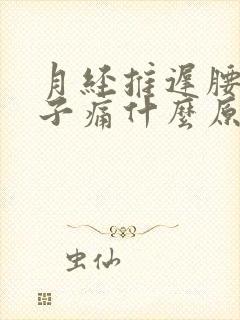 月经推迟腰痛肚子痛什么原因