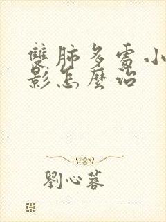 双肺多处小结节影怎么治